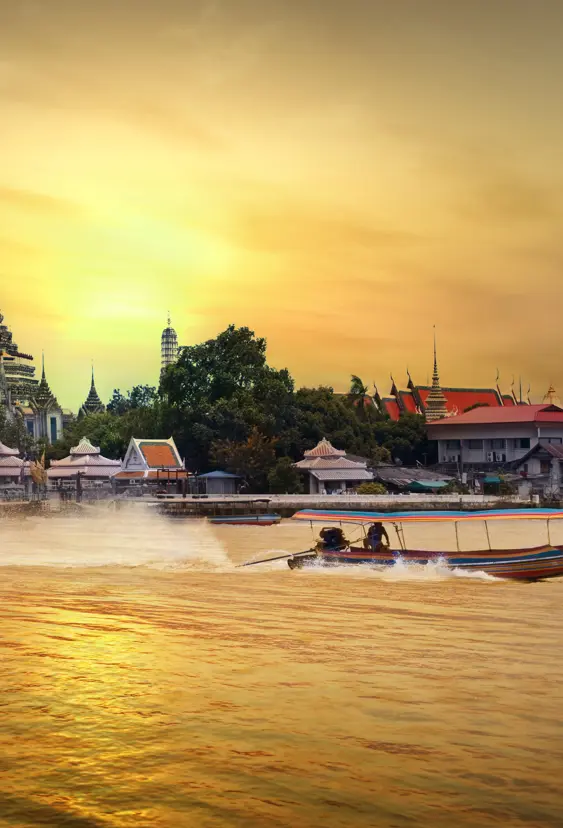 Thai Bangkok 8