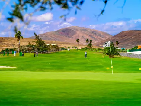 21.Golf