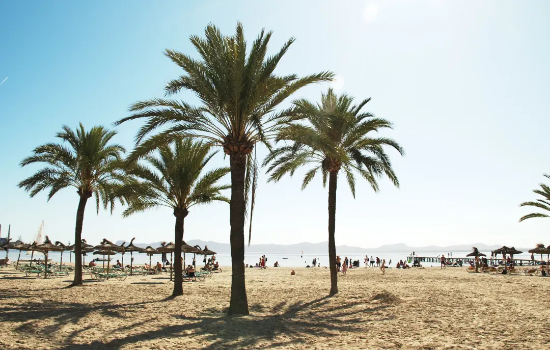 PMI Alcudia Strand 20