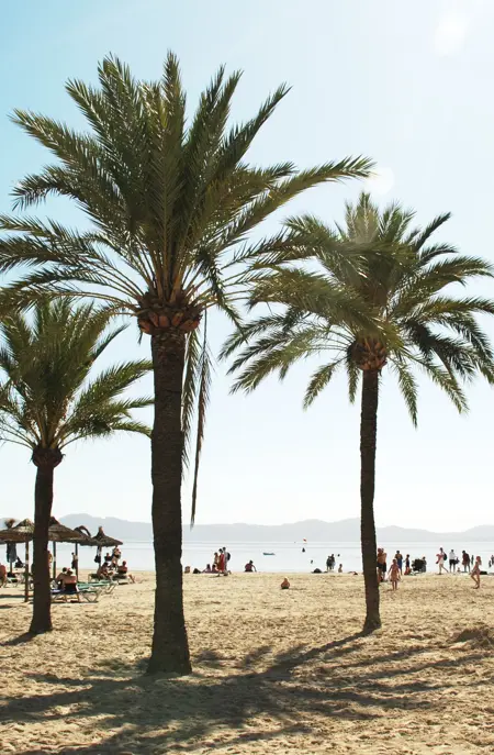 PMI Alcudia Strand 20