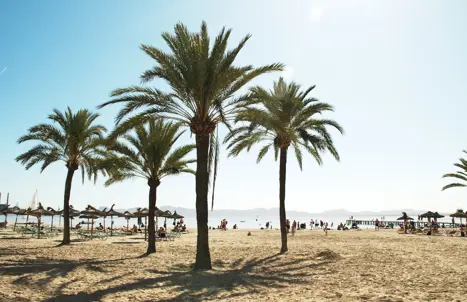 PMI Alcudia Strand 20