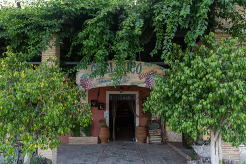 Callinico Winery Zakynthos Zante