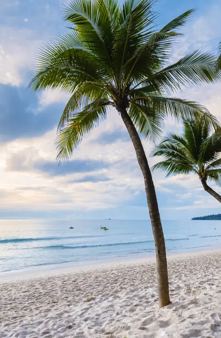 Phuket Bang Tao Adobestock 545041432