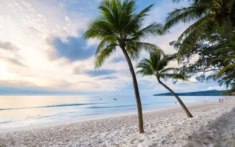 Phuket Bang Tao Adobestock 545041432