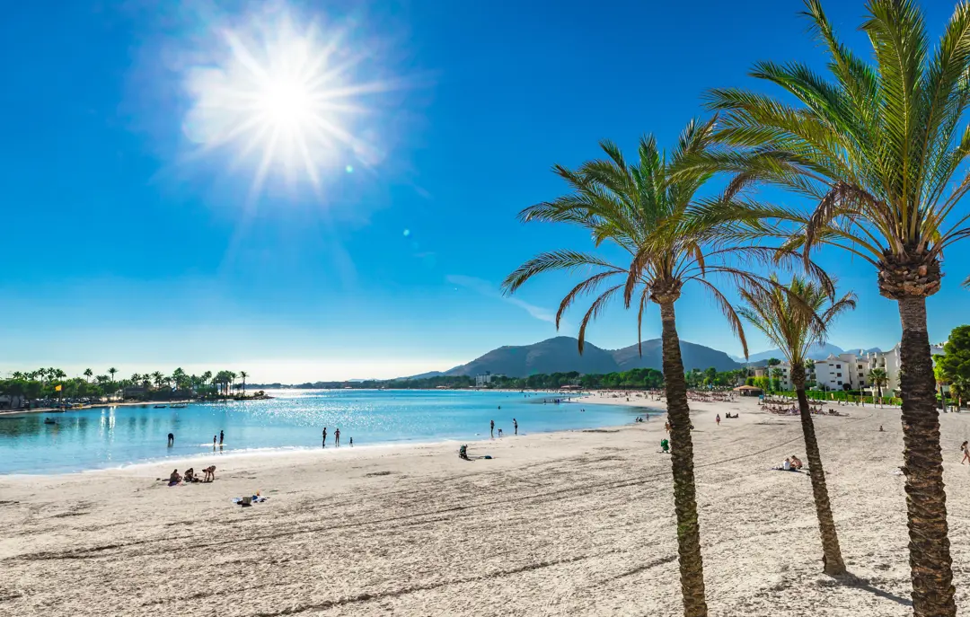 PMI Alcudia Beach 707082490 (1)