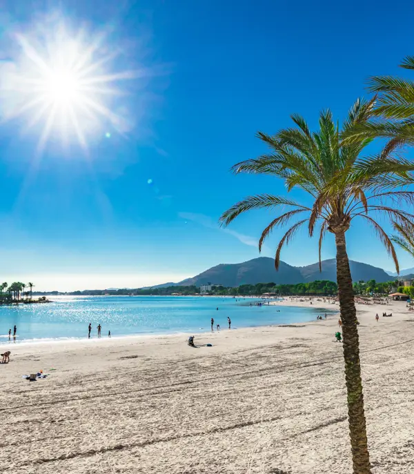 PMI Alcudia Beach 707082490 (1)