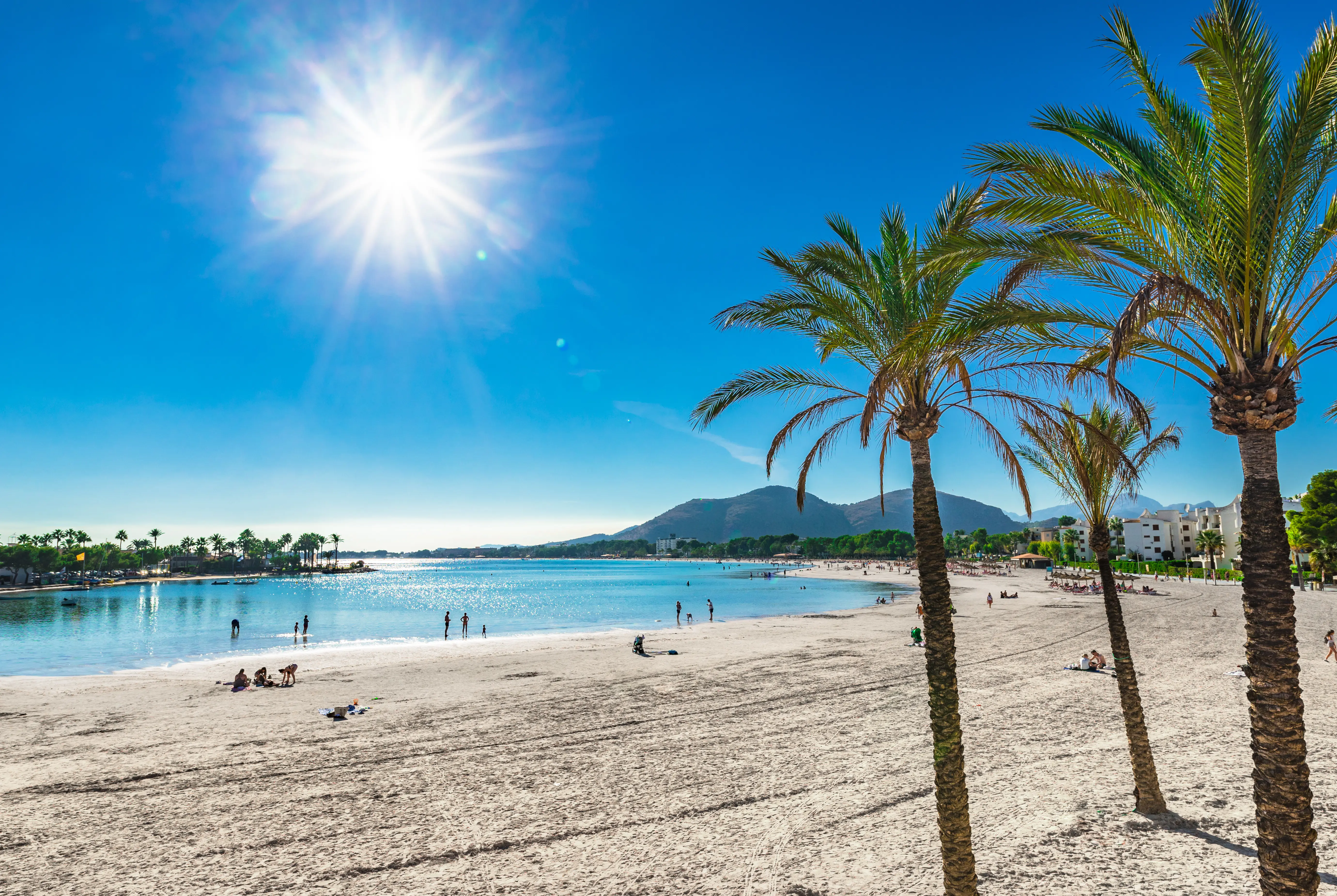 PMI Alcudia Beach 707082490 (1)