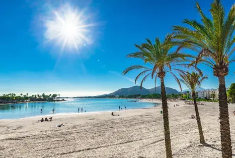PMI Alcudia Beach 707082490 (1)