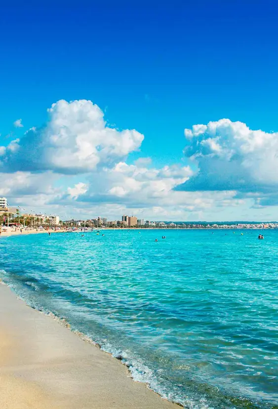 PMI Playa De Palma 157901903
