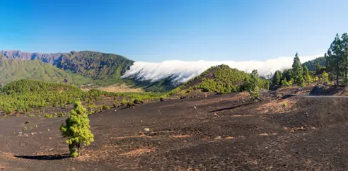 SPC Refugio El Pilar With Famous Cloud Waterfall 575952820 (1)