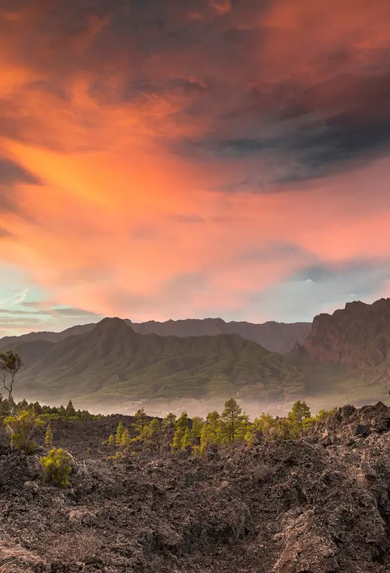 La Palma Paisaje Van Marty Forlænget