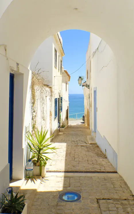 FAO Albufeira © Red Karpet Photo