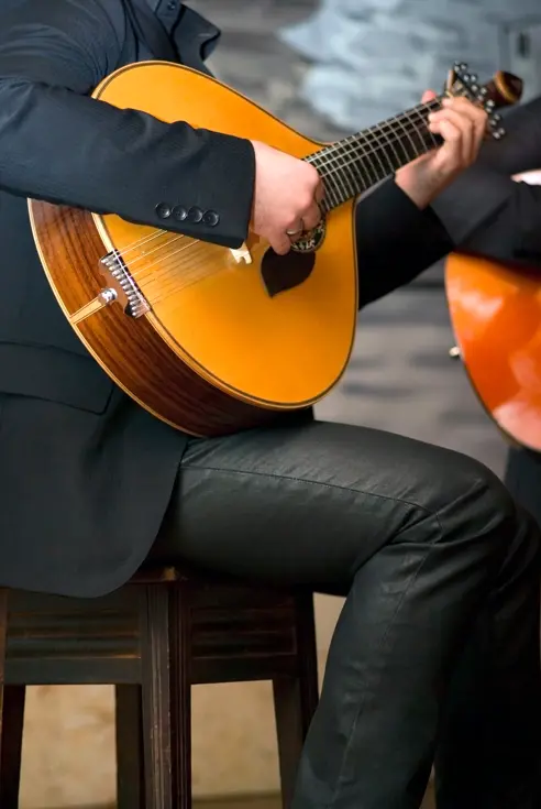 FAO Fado AdobeStock_49317394.jpeg