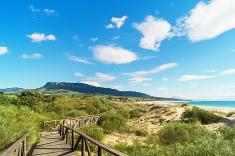 CDL Bolonia Beach, Tarifa 545082340