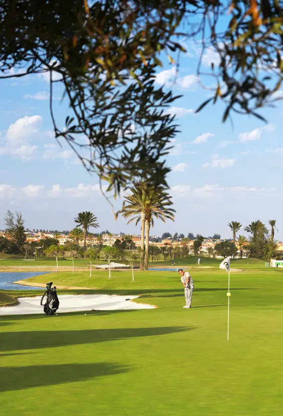 FUE Fuerteventura Golf Course 14