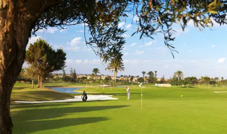 FUE Fuerteventura Golf Course 14