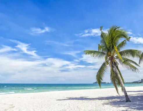 Thai Huahin Strand 66232138