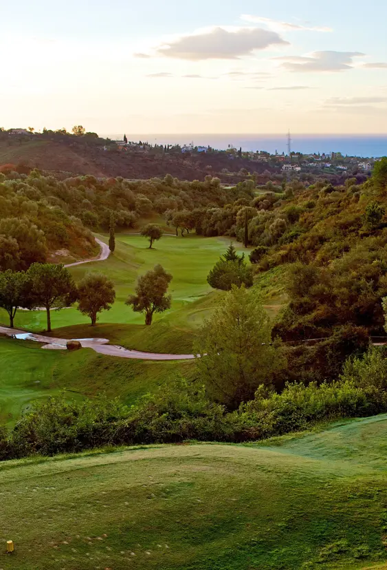 AGP Marbella Golf 2