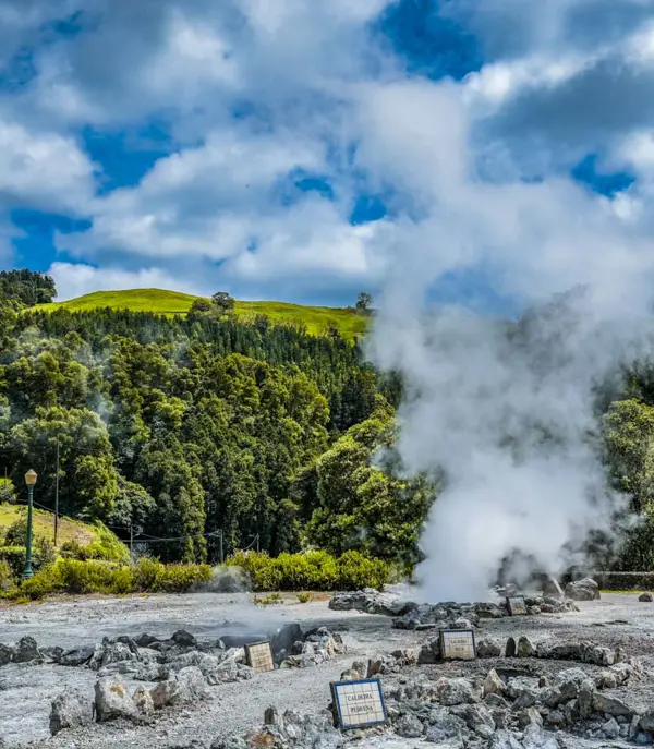Furnas4 (1)