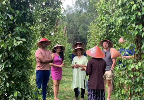 Viet Phu Quoc Peberfarm 2.jpg