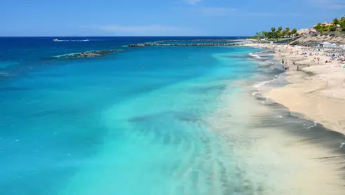 TFS Costa Adeje 106703294