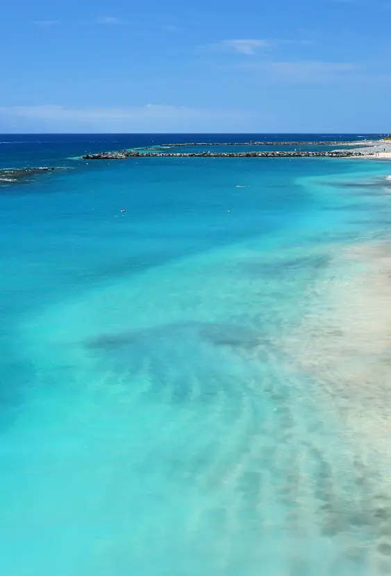 TFS Costa Adeje 106703294