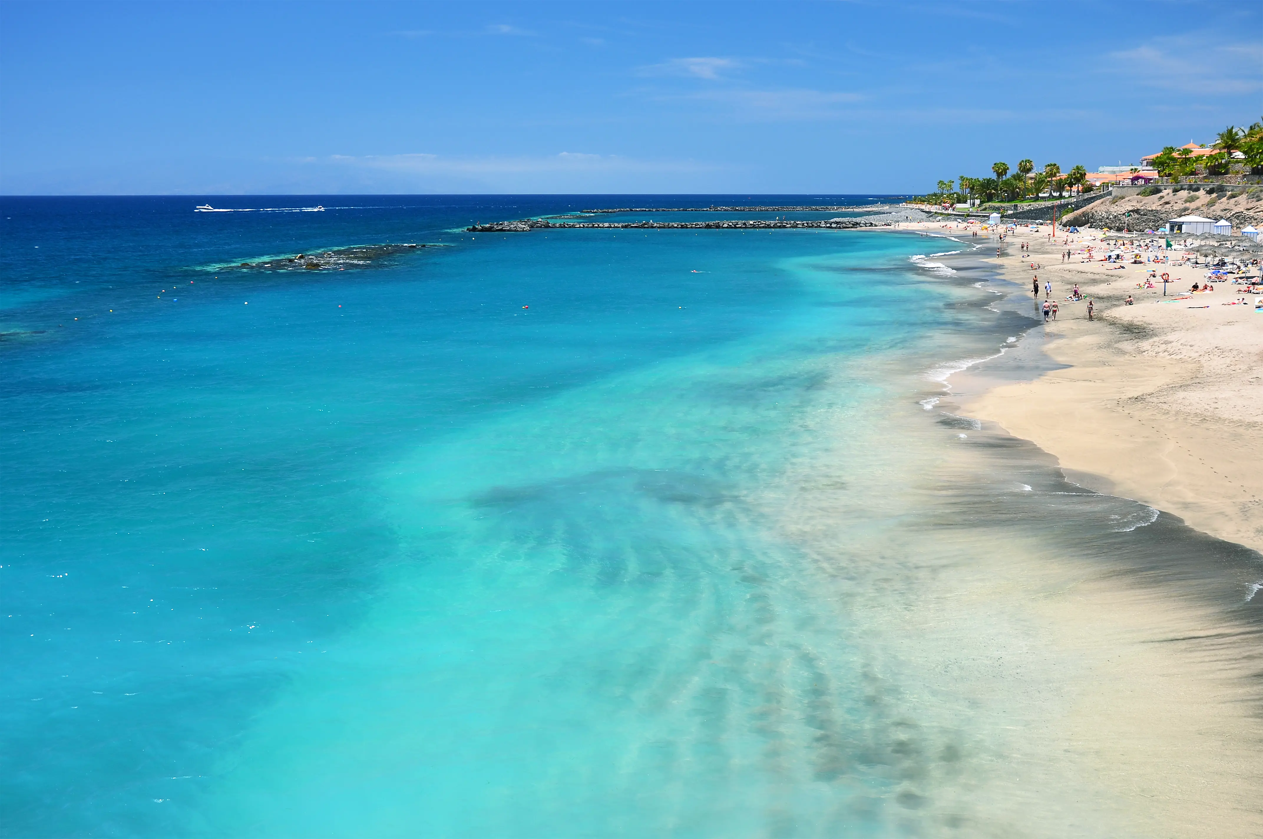 TFS Costa Adeje 106703294