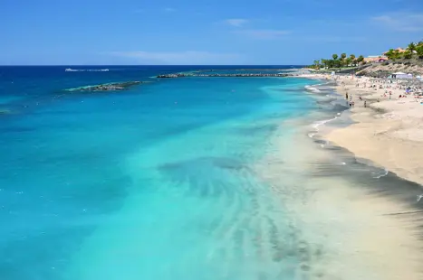 TFS Costa Adeje 106703294