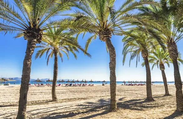PMI Alcudia Gettyimages 960933298