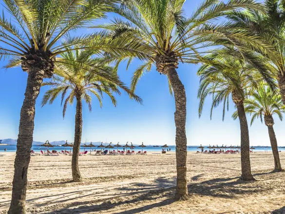 PMI Alcudia Gettyimages 960933298