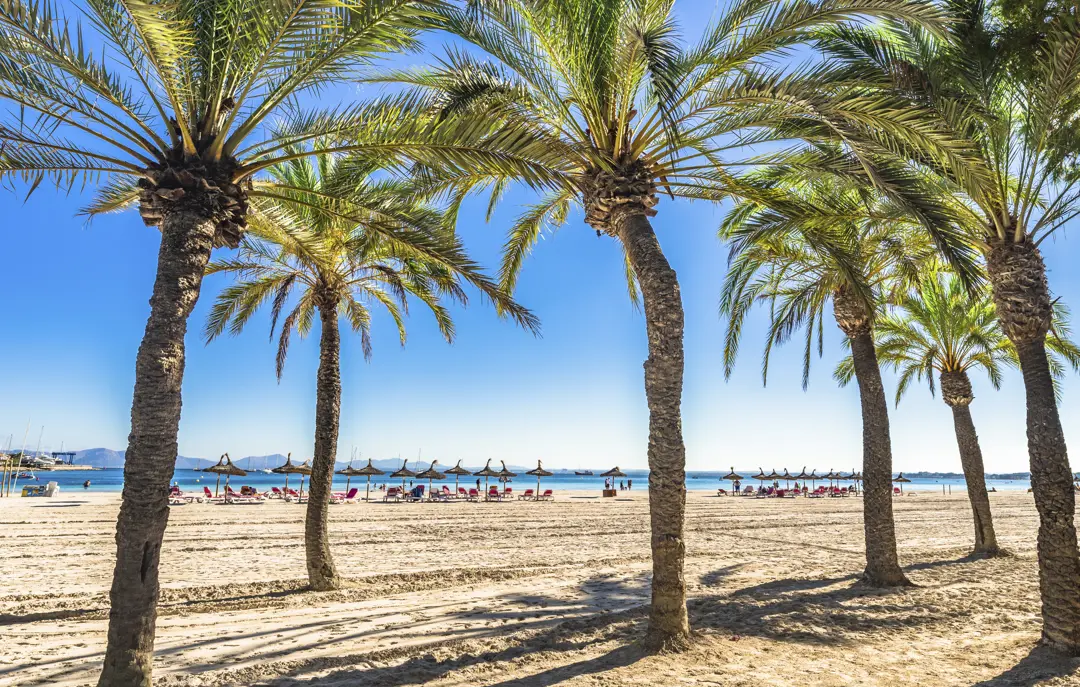 PMI Alcudia Gettyimages 960933298