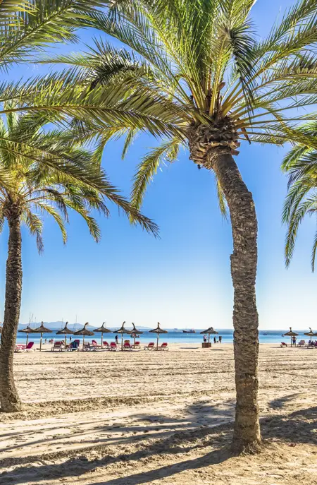 PMI Alcudia Gettyimages 960933298
