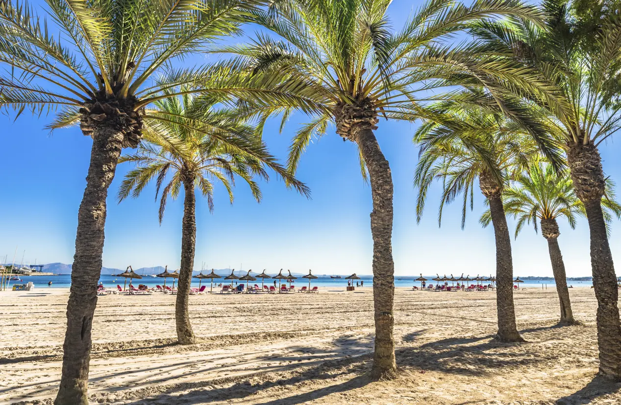 PMI Alcudia Gettyimages 960933298