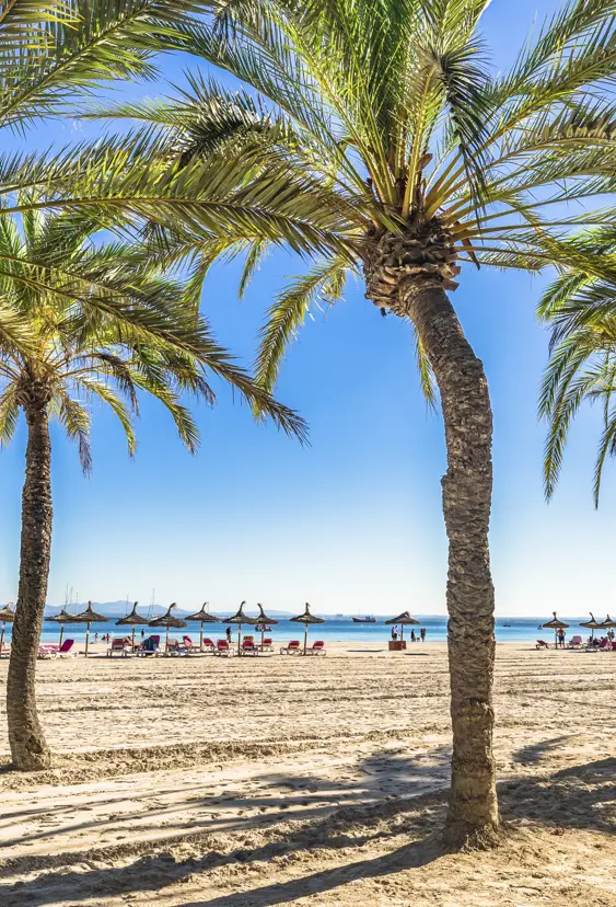 PMI Alcudia Gettyimages 960933298
