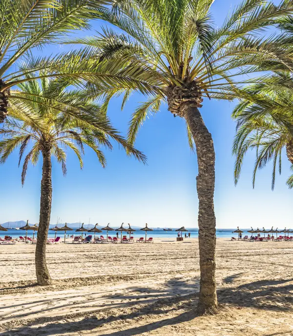 PMI Alcudia Gettyimages 960933298