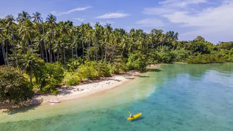 Kohchang Sylvankohchang 60