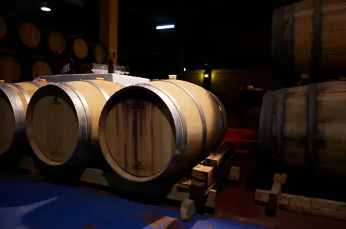 LPA Bodega De San Bartolomé De Tirajana Adobestock 68397230
