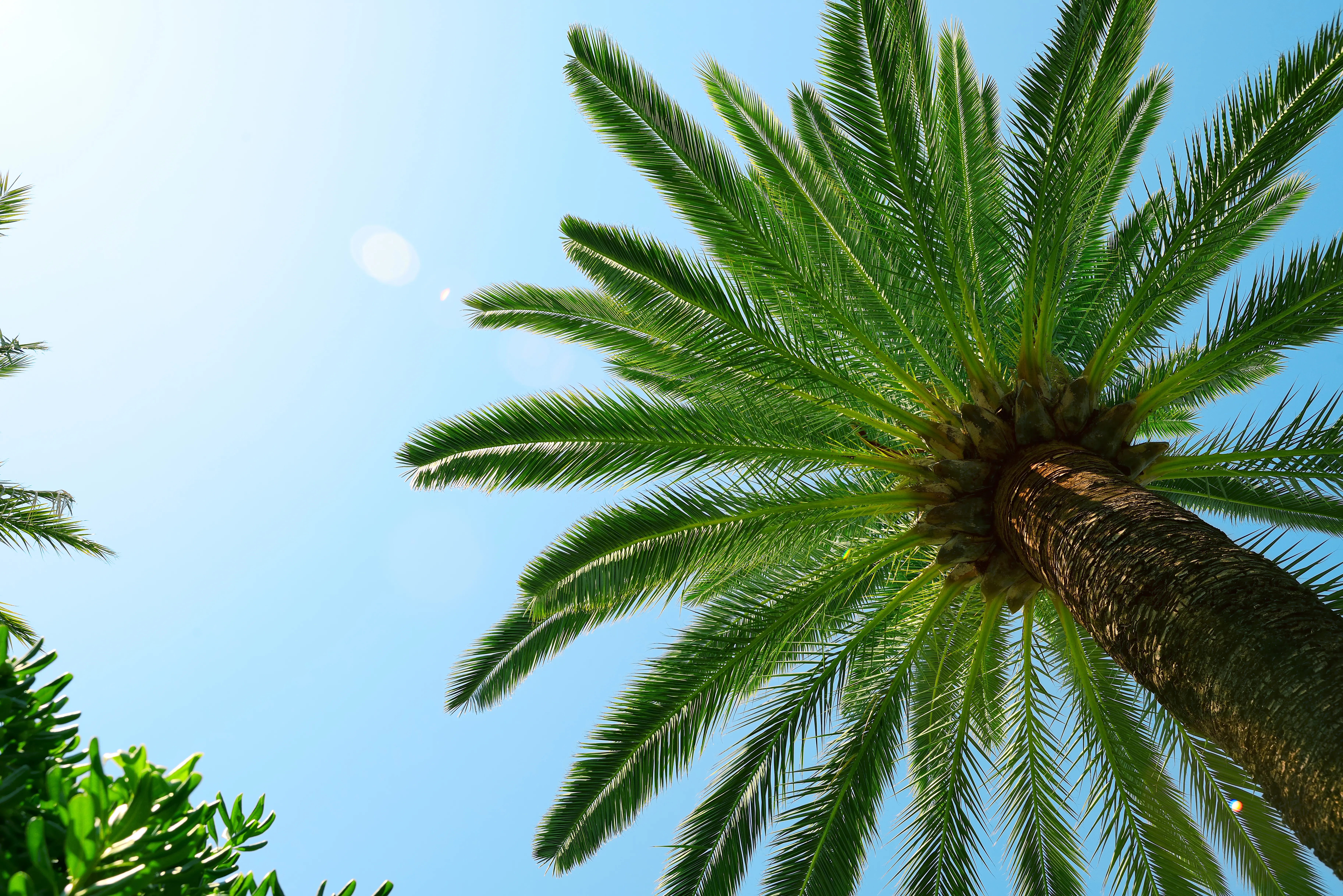 Shutterstock 259522553