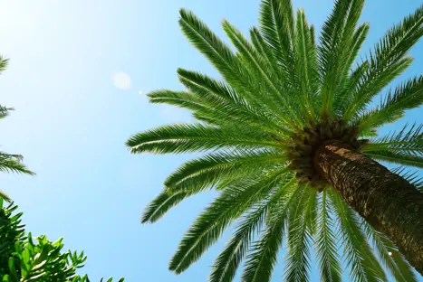 Shutterstock 259522553