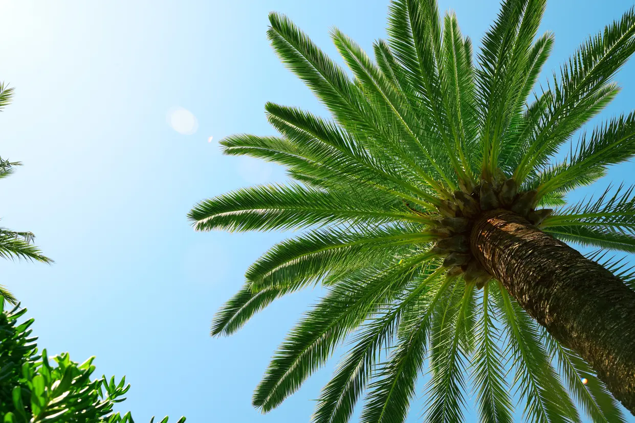 Shutterstock 259522553