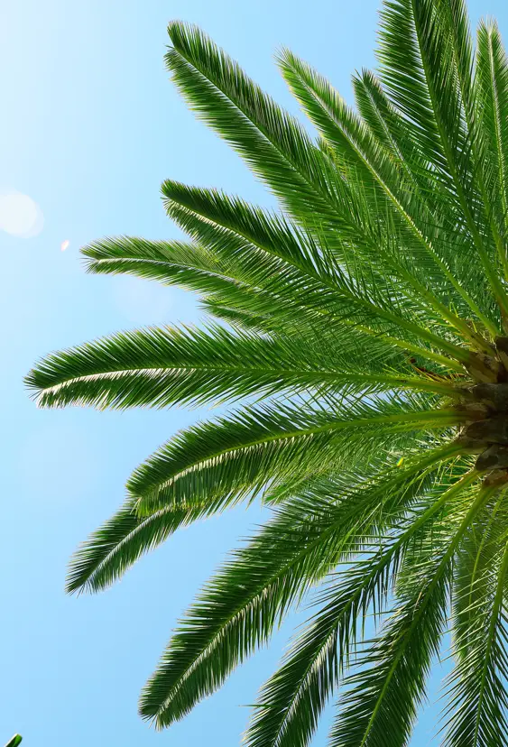 Shutterstock 259522553