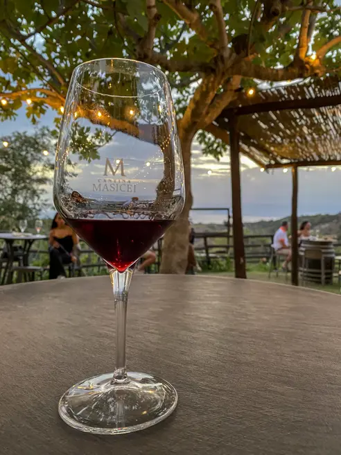 SUF Vinsmagning På Cantina Masicei 11