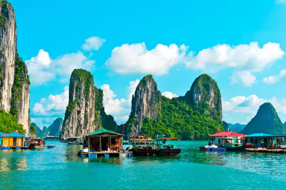 Viet Halong 119134810