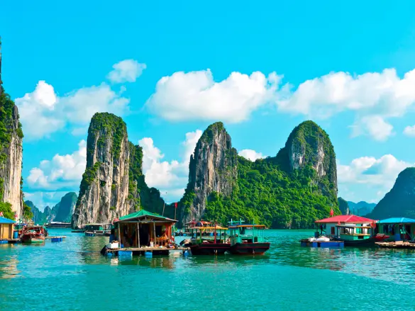 Viet Halong 119134810