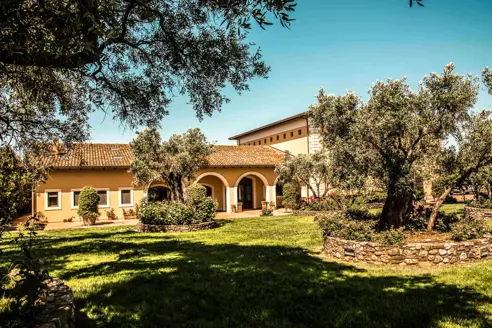 Azienda Statti Winery