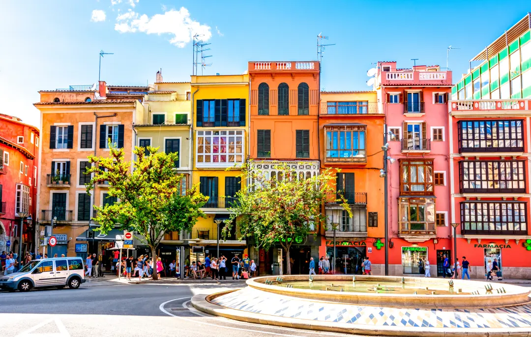 Palma Adobestock 240415972