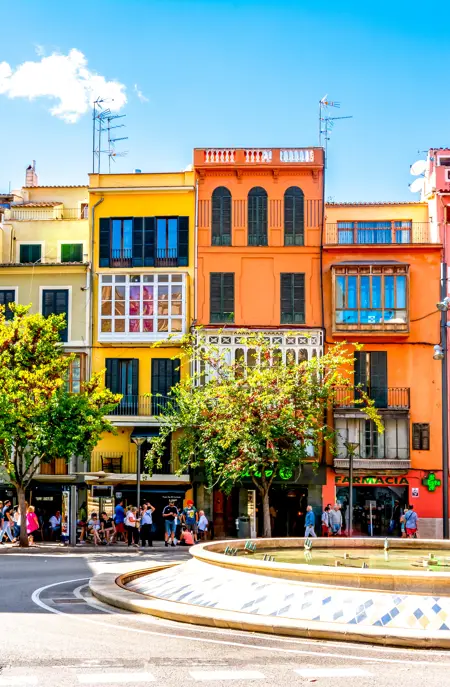 Palma Adobestock 240415972