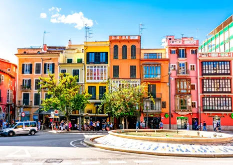 Palma Adobestock 240415972