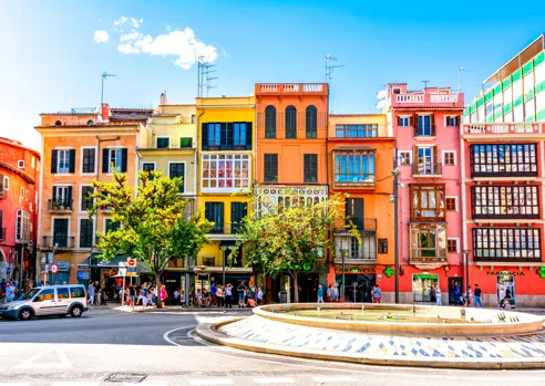 Palma Adobestock 240415972