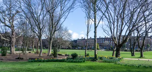 Dublin Merrion Square AdobeStock_333550048.jpeg